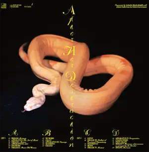 Vinyl Artwork Back